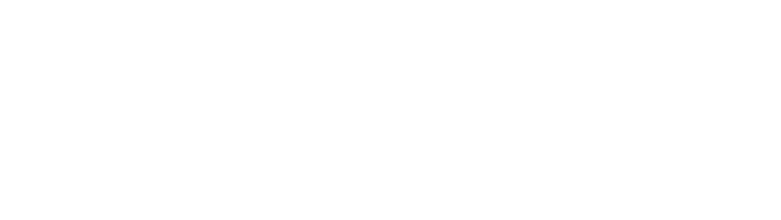 aviauto blanco